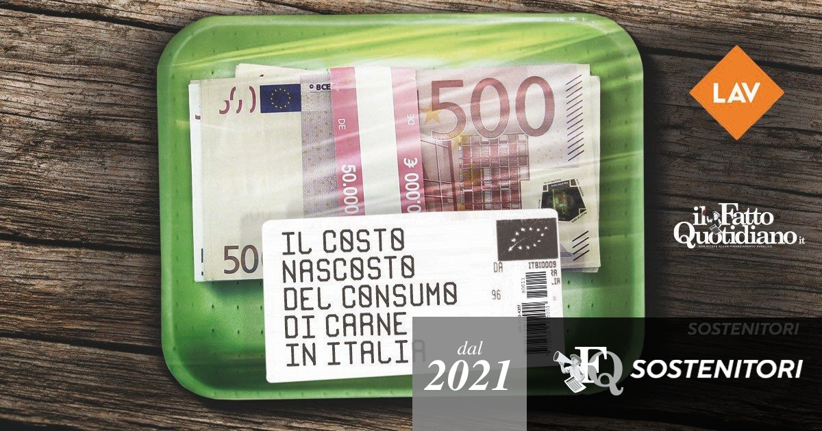 Il costo nascosto del consumo di carne – Antibiotici, Pac, alternative: gli spunti dei Sostenitori del Fatto.it sulla campagna con Lav